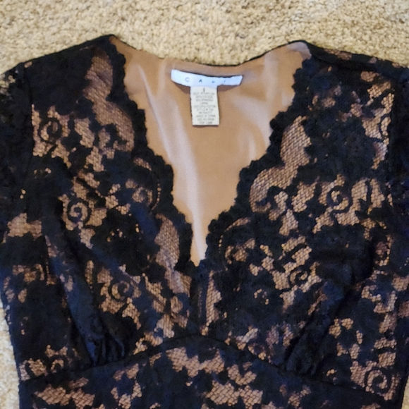 CAbi Lace Illusion Cocktail Dress Size  Small Colors Black and Nude - Picture 3 of 12